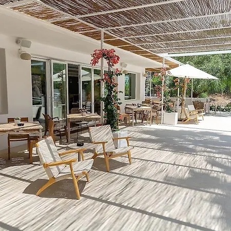 Boutique & Mimosas Ibiza (adults Only) Отель