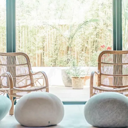 Boutique & Mimosas Ibiza (adults Only) Отель Сан-Антонио-Абад