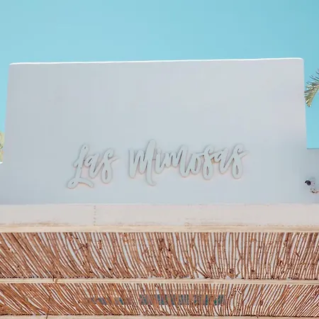 Boutique & Mimosas Ibiza (adults Only) فندق