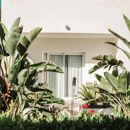 فندق Boutique & Mimosas Ibiza (adults Only) سان أنطونيو