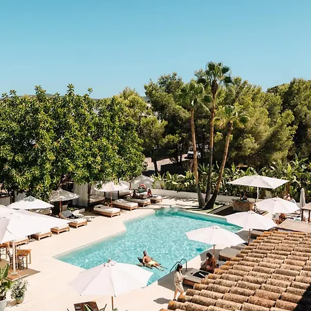 Boutique & Mimosas Ibiza (adults Only) فندق 4*